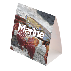 Tent Card - Small